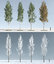 3D trees 4 model
