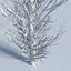 3D trees 4 model