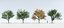 3D trees 9 model