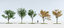 3D trees 9 model