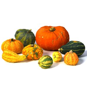 3D set pumpkin
