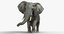 photorealistic african elephant animation ma