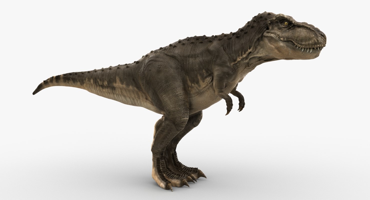 tyrannosaurus view in 3d