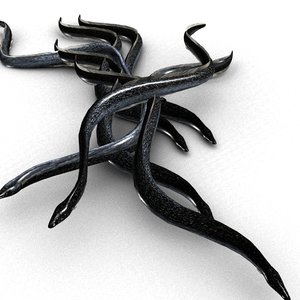 3D black eel model