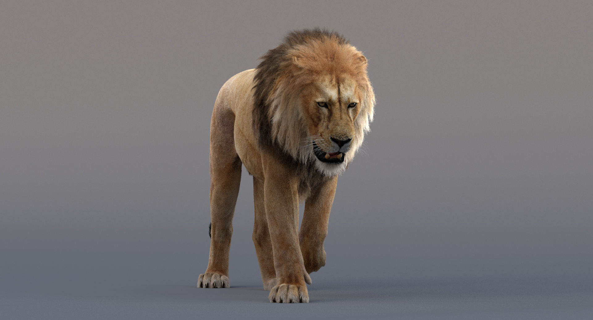 狮子索具3d模型