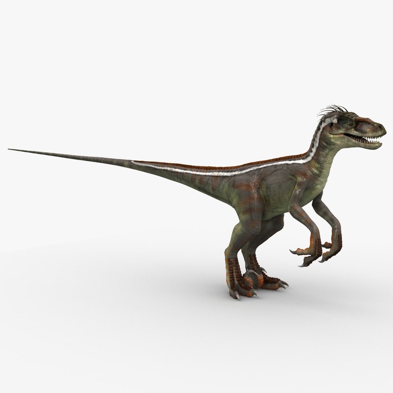 velociraptor 1 animation 3d model