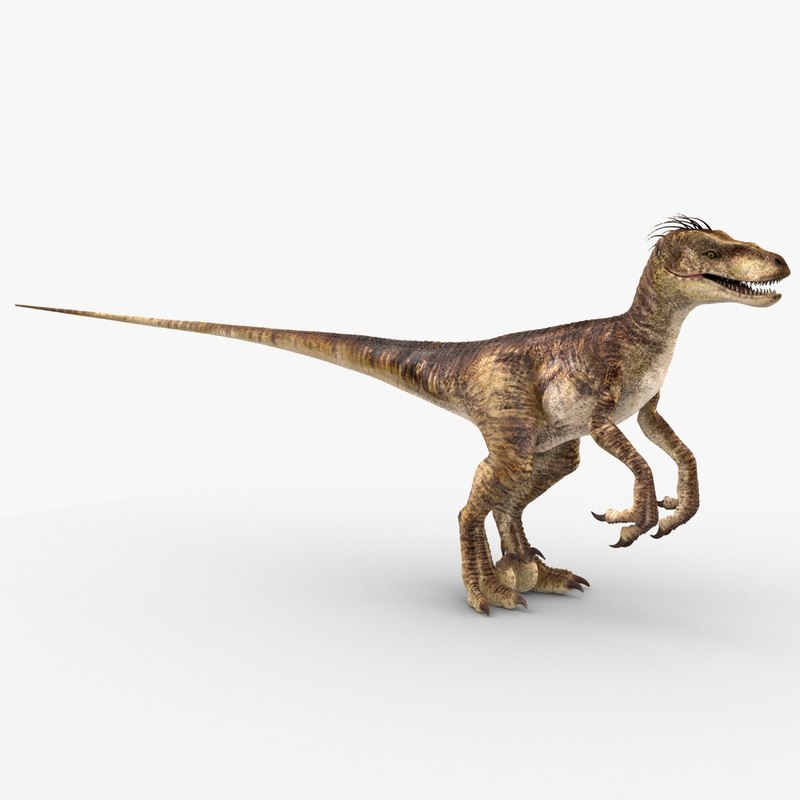 velociraptor google 3d