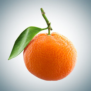 3D mandarin 1 polly model