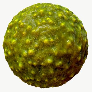 Alien Skin 01 PBR Texture