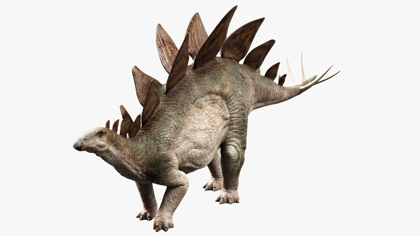 stegosaurus in 3d
