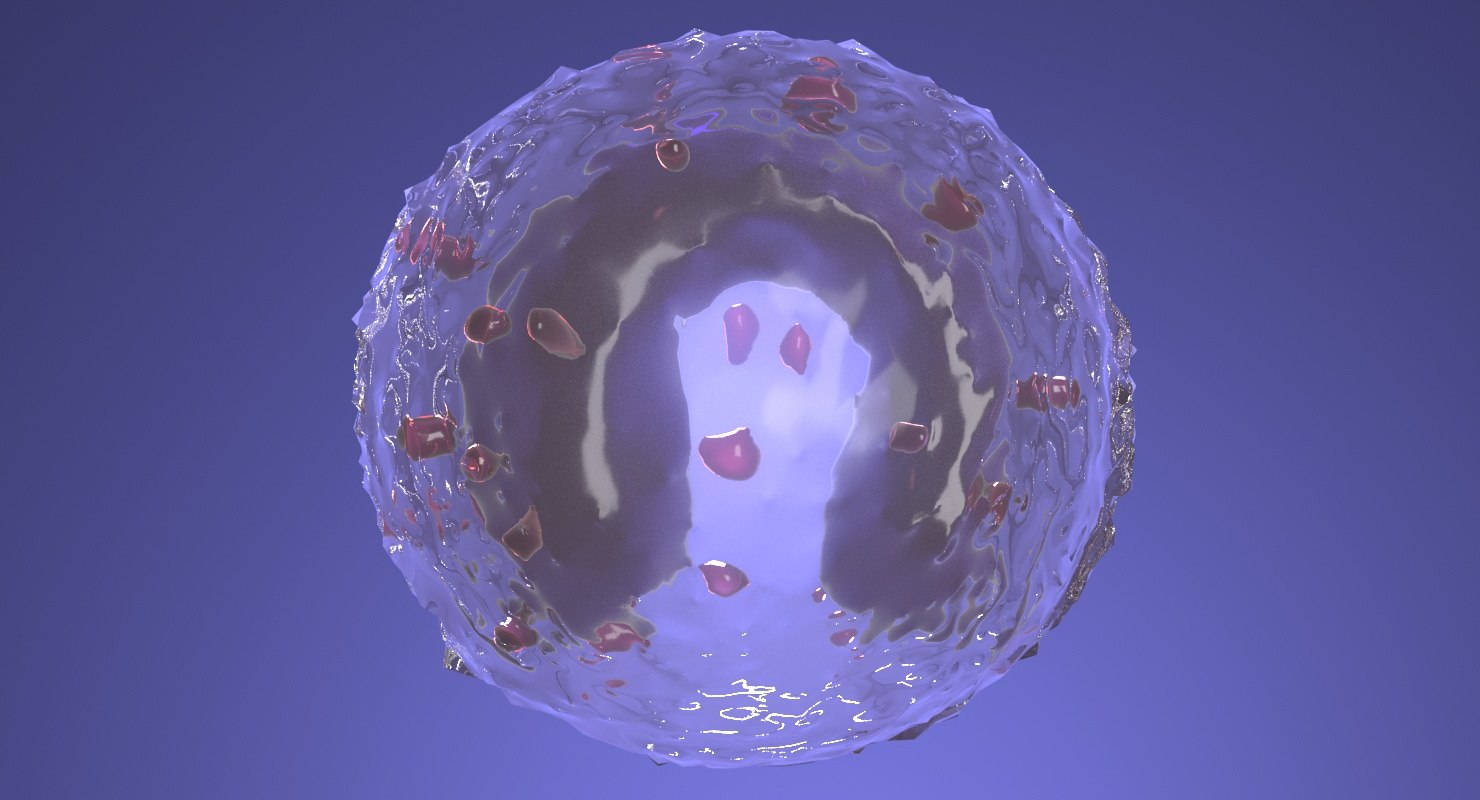 3D monocyte granule nucleus TurboSquid 1351009