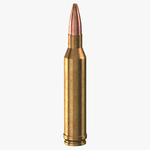 3D bullet 300 winchester magnum