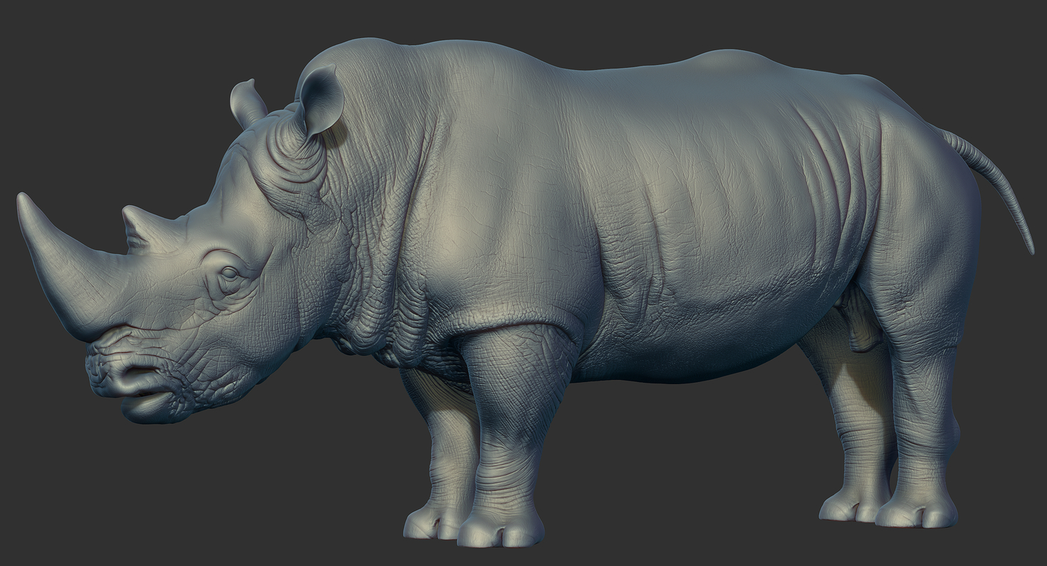 Realistic rhino model TurboSquid 1351004