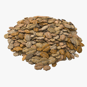 3D pile puffed wheat cereals model