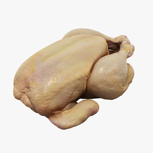 3D chicken realistic
