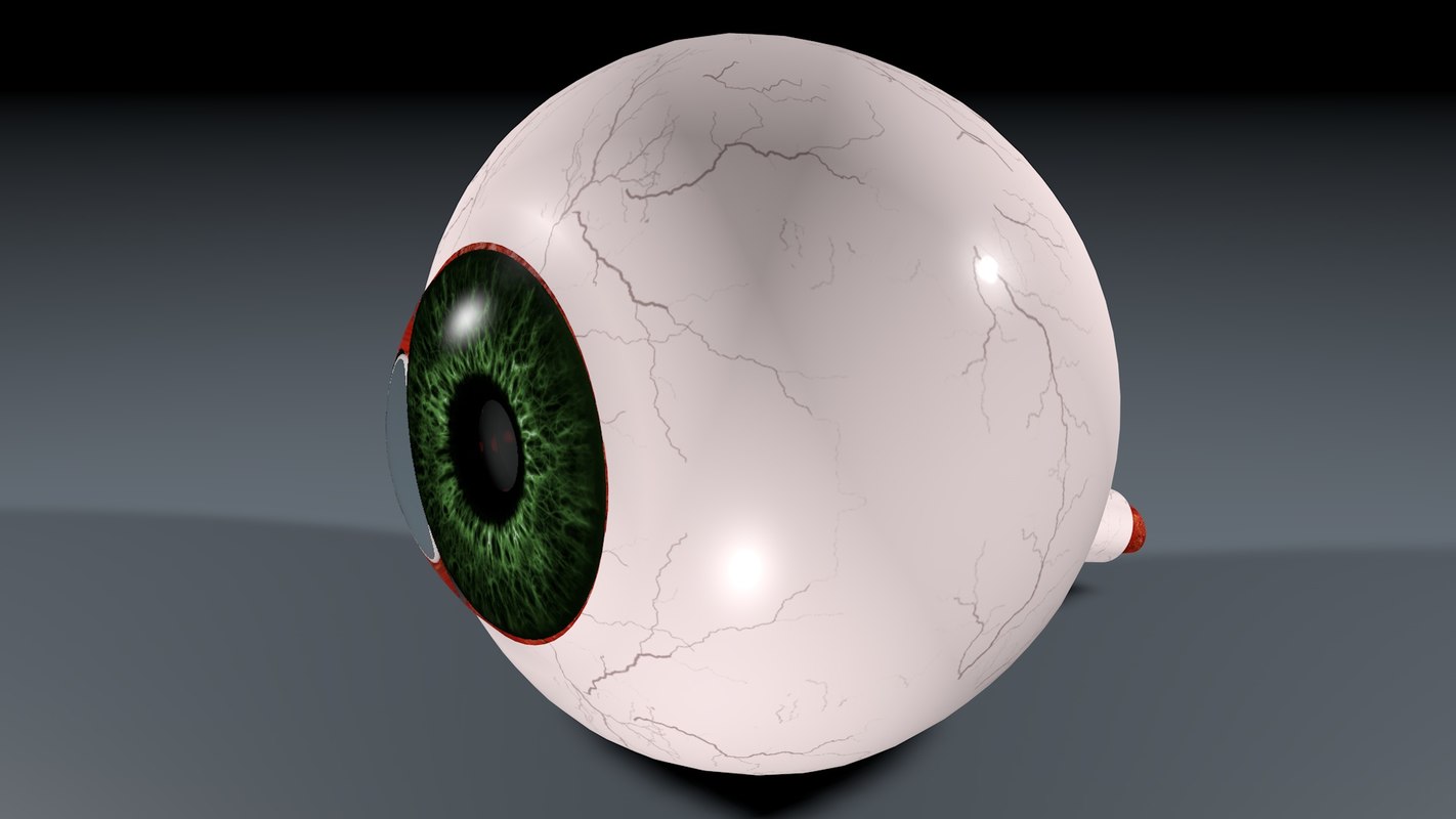 Eye anatomy human 3D model TurboSquid 1351147