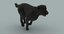 3d labrador black - fur model