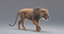 lion animation fur 3D model
