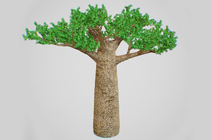 3D model baobab tree