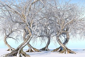 3D winter tree