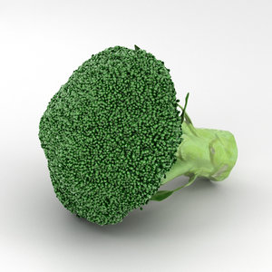 broccoli brocoli vegetable 3D model