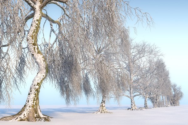 winter trees hd pack 3D model