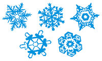 Vector snowflake