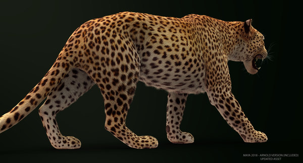 maya leopard rigged fur animations