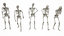 standing poses low-poly skeletons model