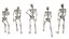 standing poses low-poly skeletons model