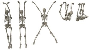 3D hanging poses low-poly skeletons model