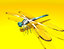 3D dragonfly rigged