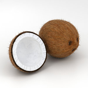 3D coconut coco nut