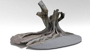 3D tree trunk 10 model
