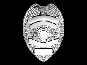 eagle sheriff badge 3D model