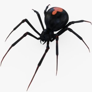 3D rigged black widow