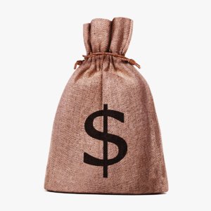 3D money bag model