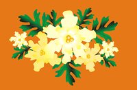 Vector yellow blossom