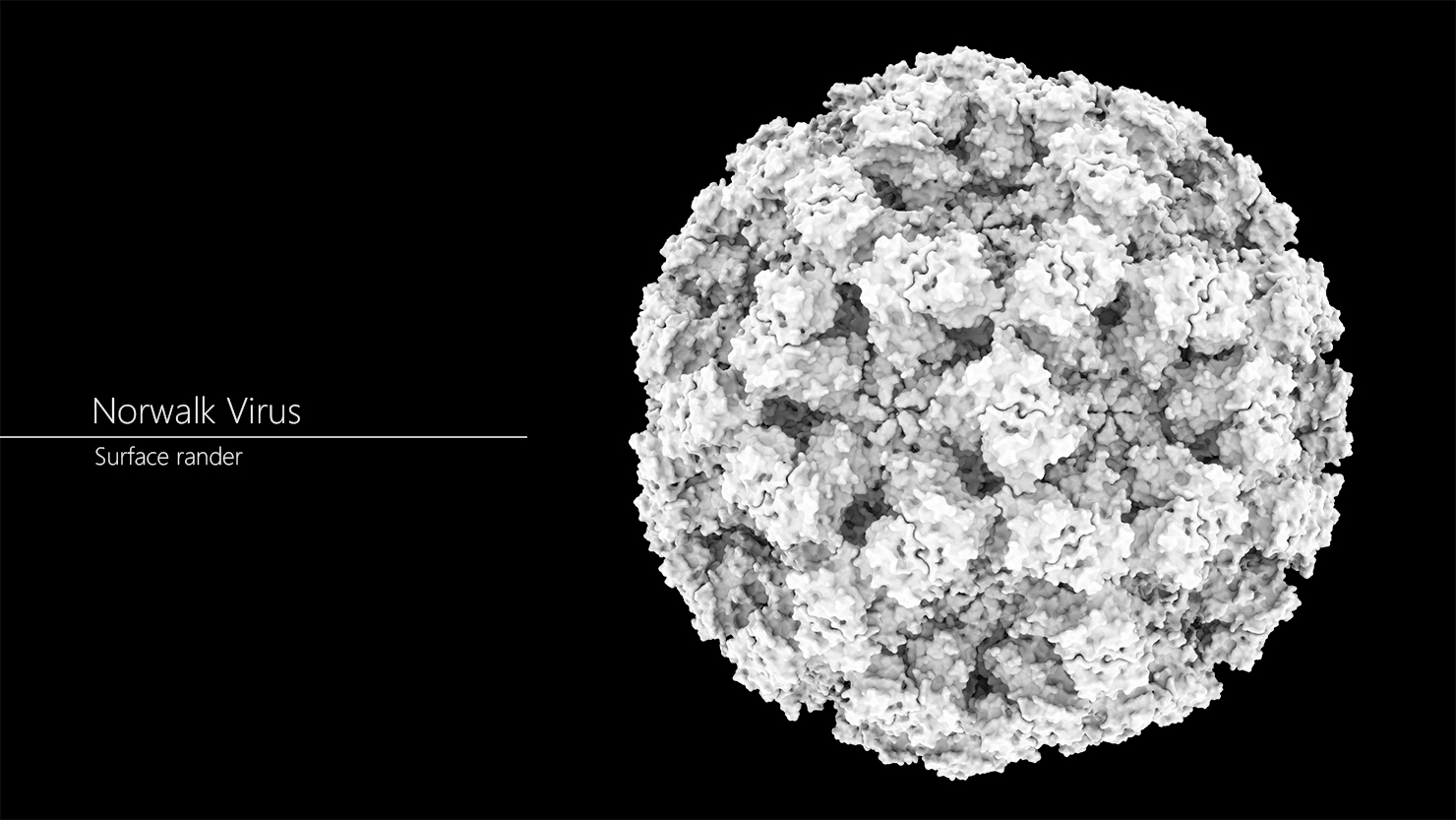 3D norovirus norwalk virus TurboSquid 1354514
