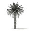 3D date palm tree 7m model