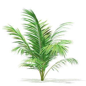 golden cane palm tree model