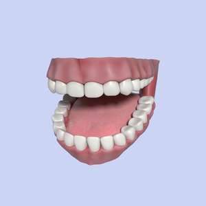 Mouth Blender Models For Download Turbosquid