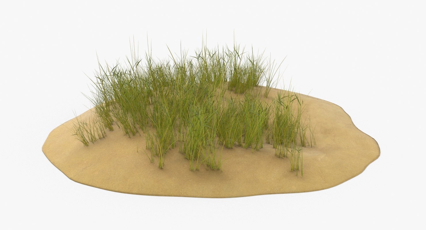 3D sand-dunes-with-grass---dune-2 - TurboSquid 1355387