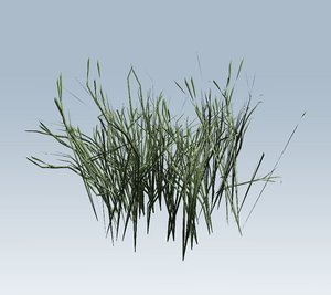 grass 3D model