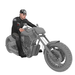 3D rigged biker