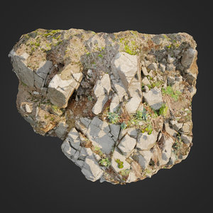 scanned cliff face d 3D model