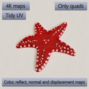 starfish accessory decoration model