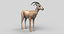 gazelle grants 3d model