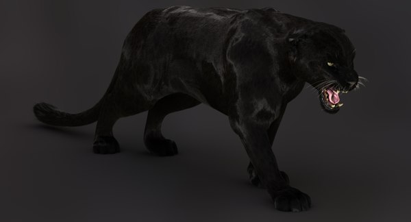 ブラックパンサー 2 Rig Fur 3dモデル Turbosquid