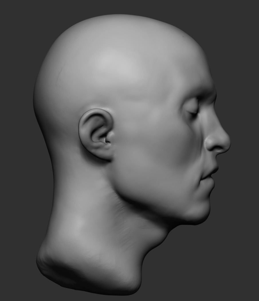 Free 3D male head model - TurboSquid 1357522